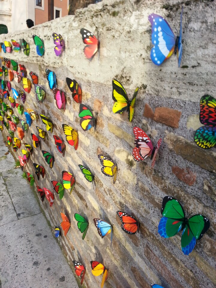 Butterfly wall