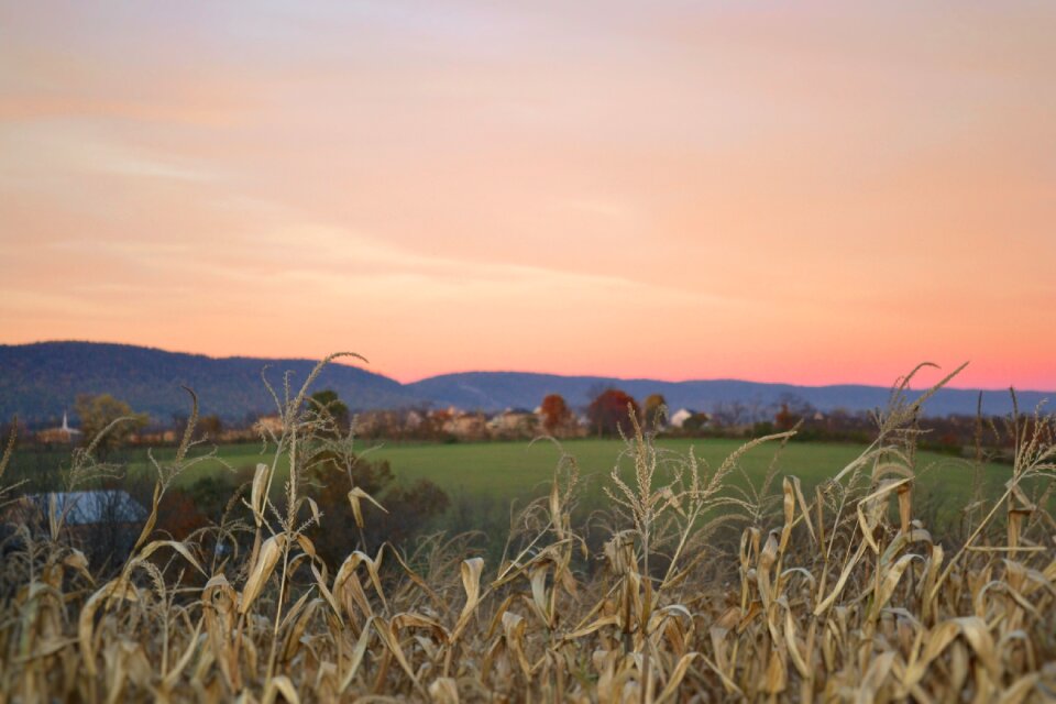 Village hills sunset