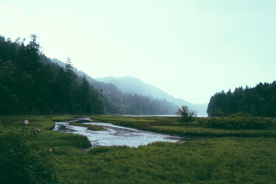 Hills trees grass