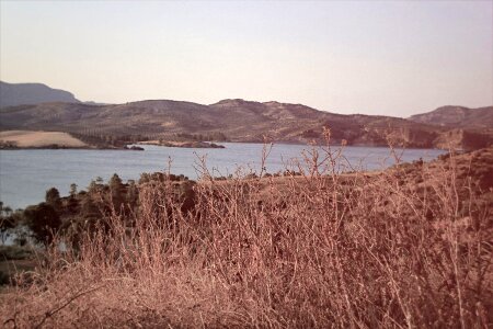 Mountains fields trees photo