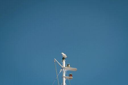 Blue sky