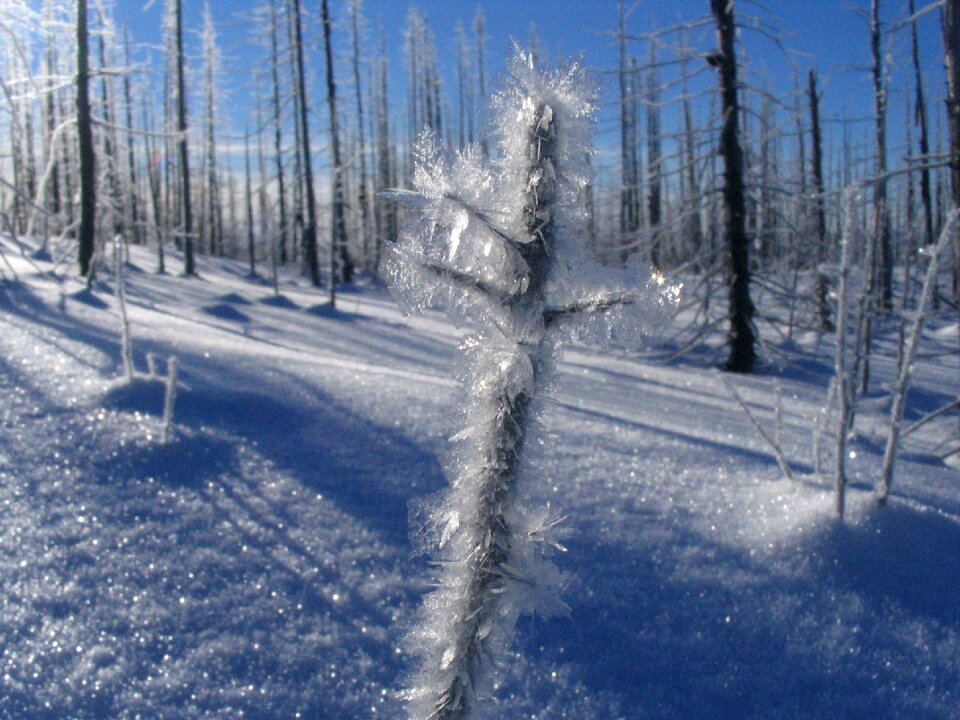 Ice crystals gel cold