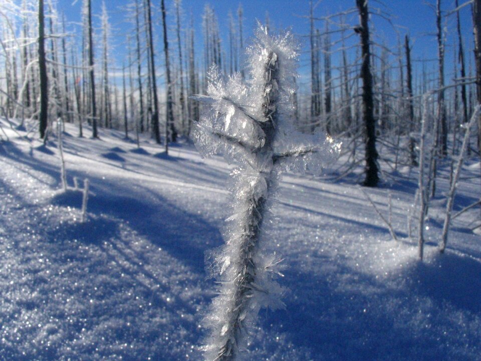 Ice crystals gel cold photo