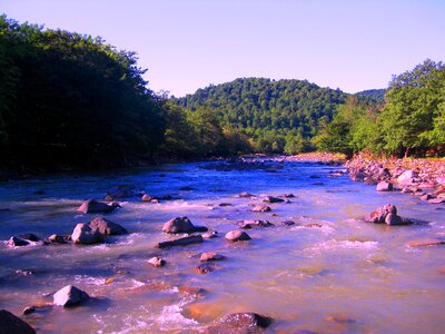 Imereti water forest photo