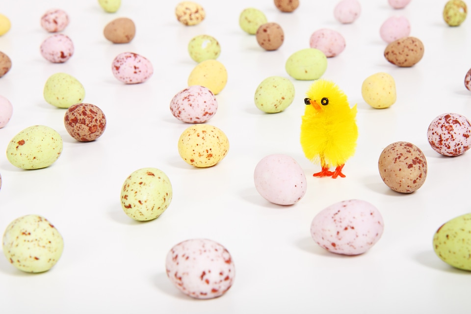 Colorful decoration easter