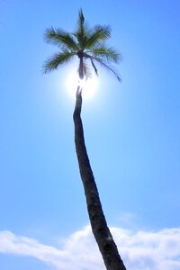 Beach holiday hot