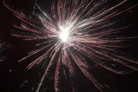 The night sky fireworks beautiful