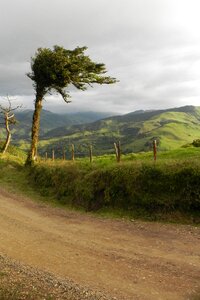 Costa rica mountain vegetation photo