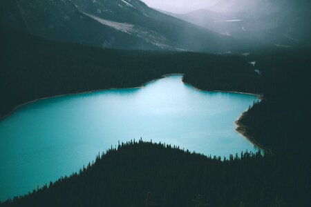 Trees forest mountains photo