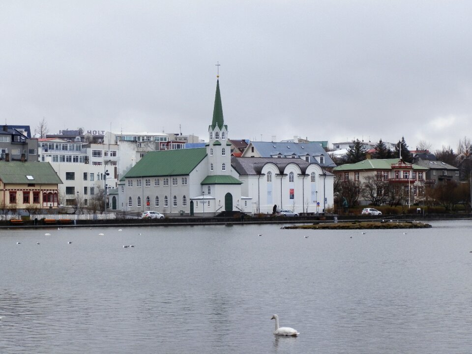 Swan water reikiavick