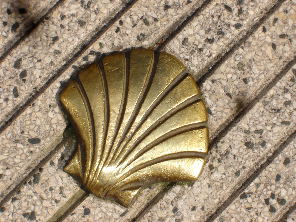 St jacques shell compostela