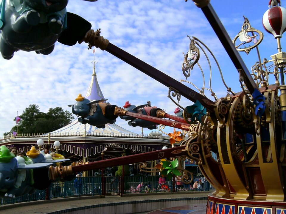 Disney world up and down