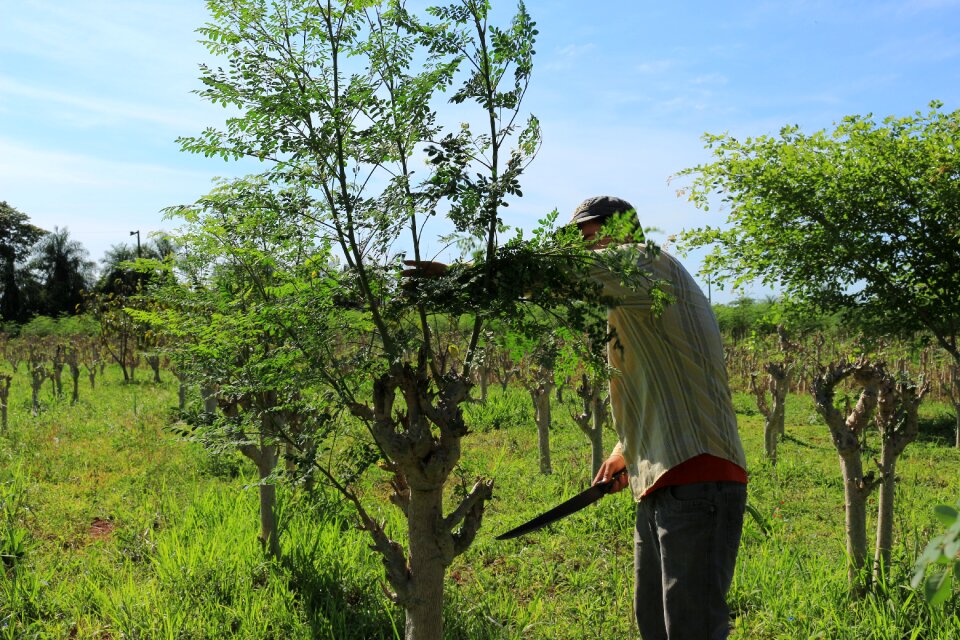 Worker green farmer