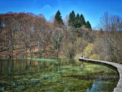 Water scenic forest photo