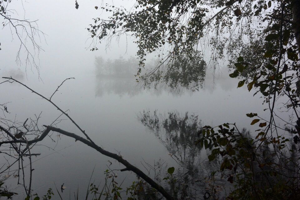 Moorland nature swamp