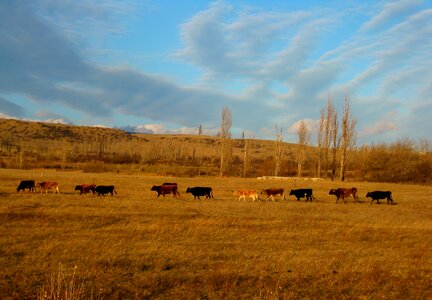 Hill sky nature