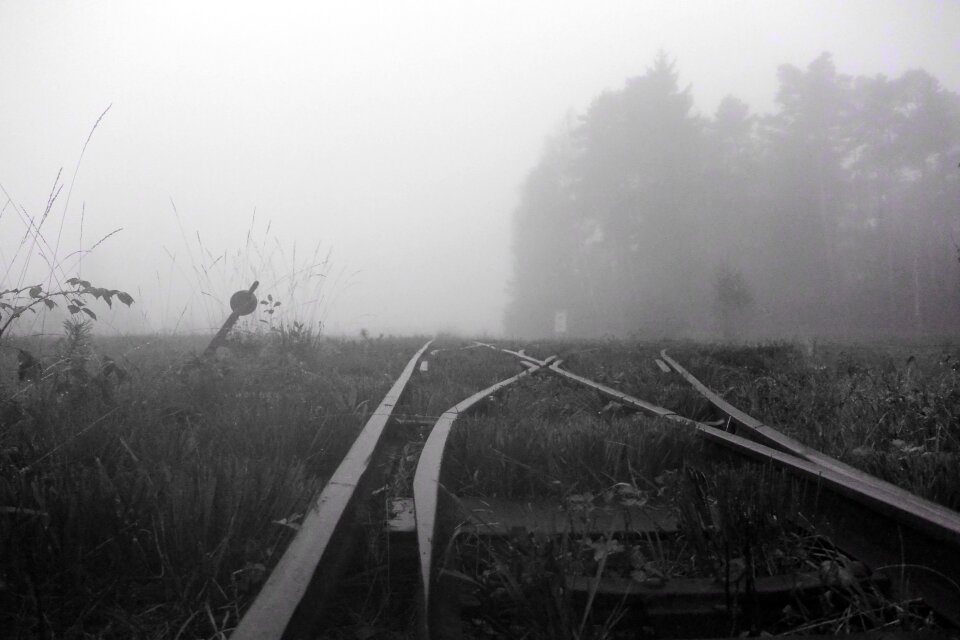 Nature gloomy wetland