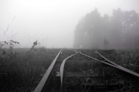 Nature gloomy wetland