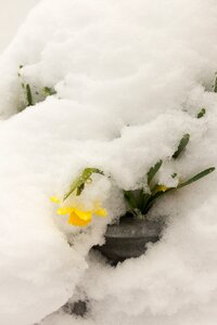 Snow easter our