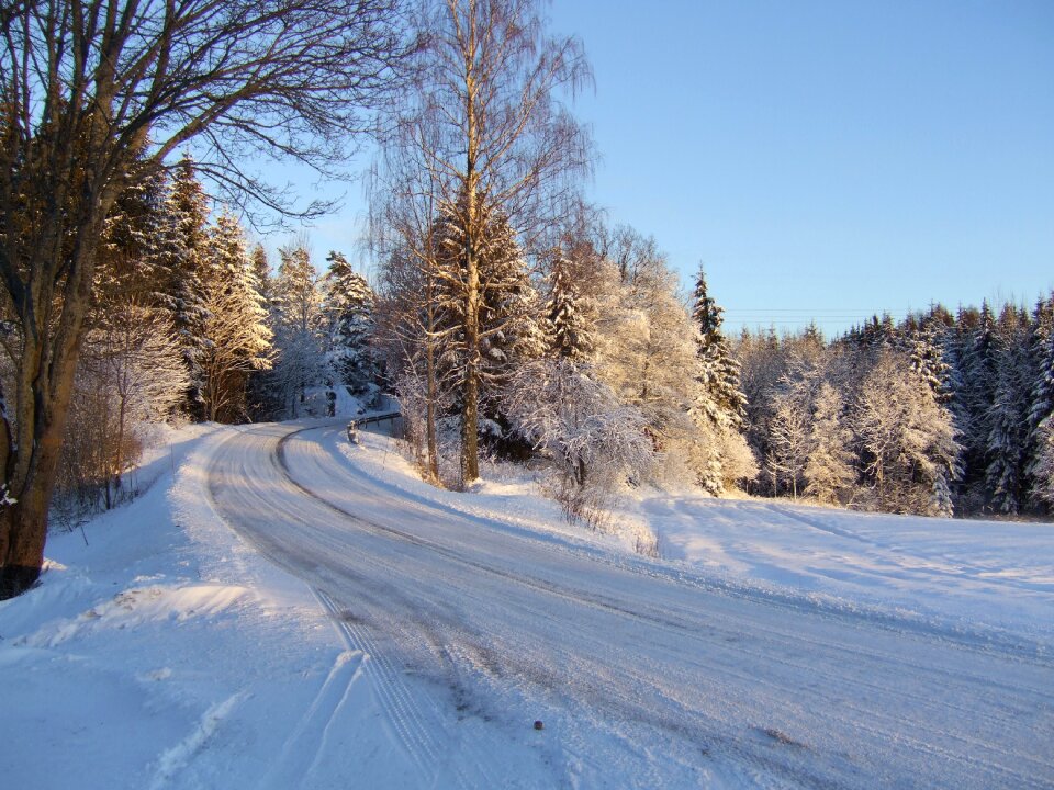 Way the nature of the white