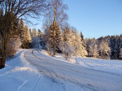 Way the nature of the white