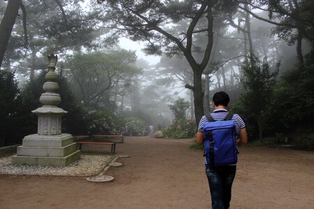 Fog quiet busan photo