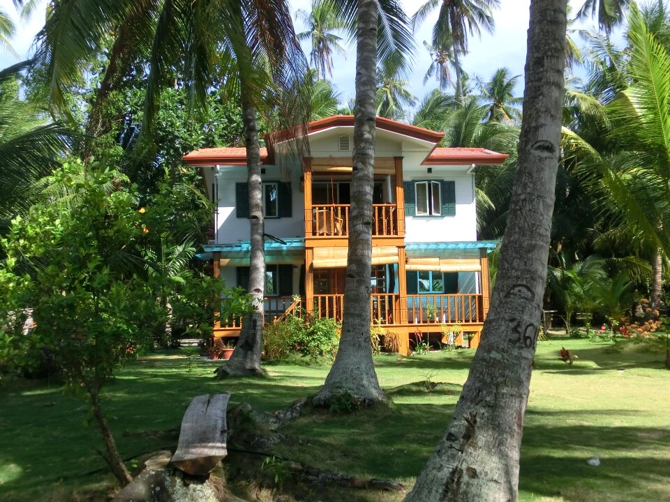 House philippines palm trees