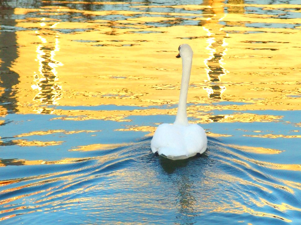 Lake reflection water