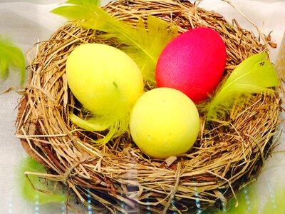 Easter nest feather