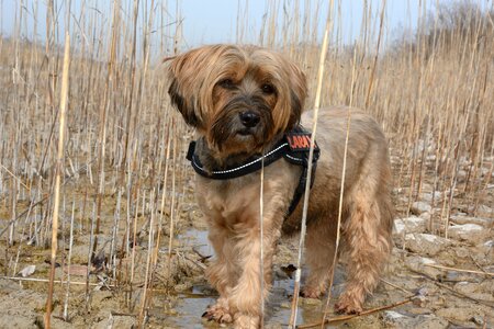 Nature portrait cute