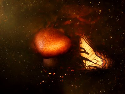 Brown butterfly glitter