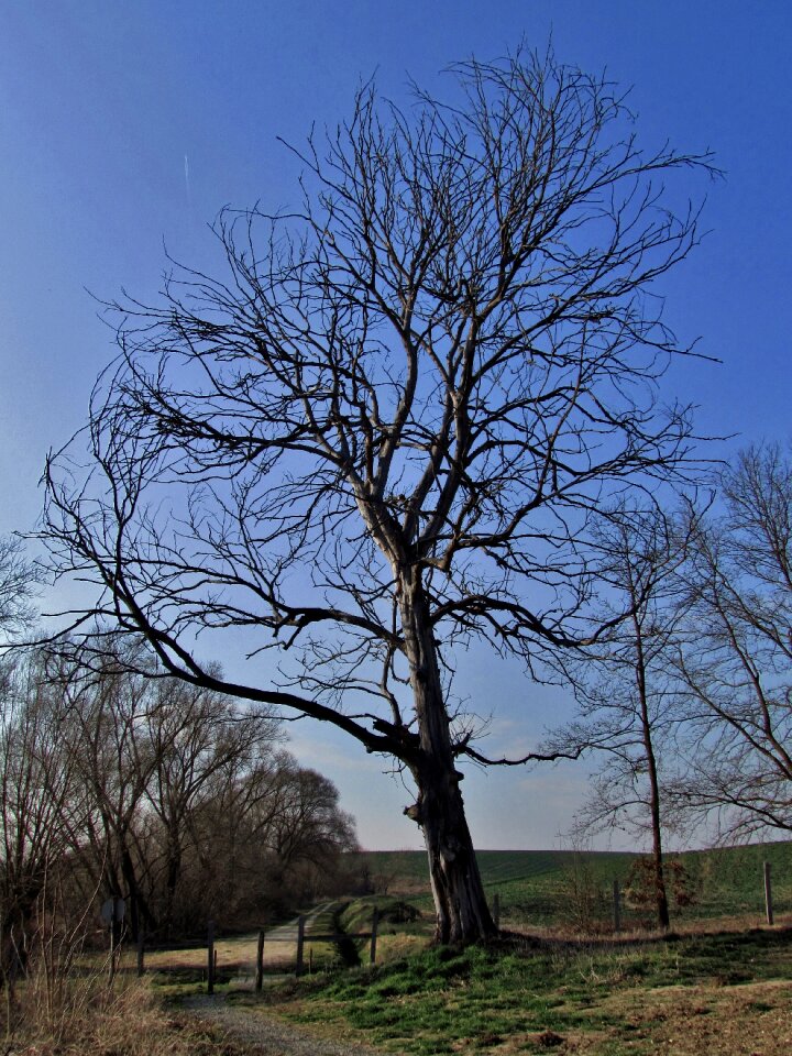 Landscape hungary sky