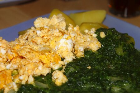 Eat food cook