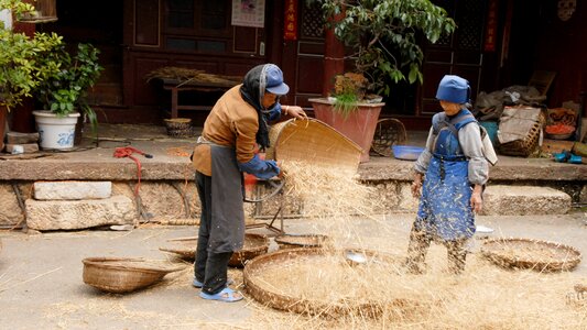 Agriculture harvest hand labor