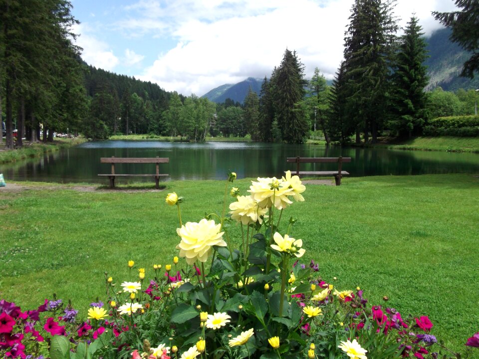 Chamonix nature water