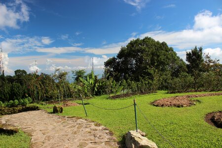 Blue sky green space trail