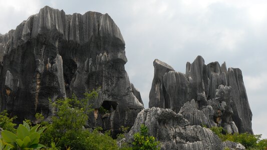 Stone forest stones landscape photo