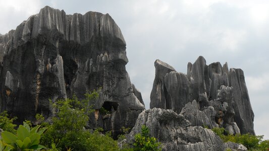 Stone forest stones landscape