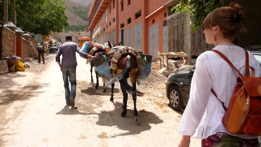 Mule tourist traditional