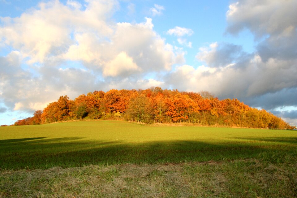 Forest fall landscape photo