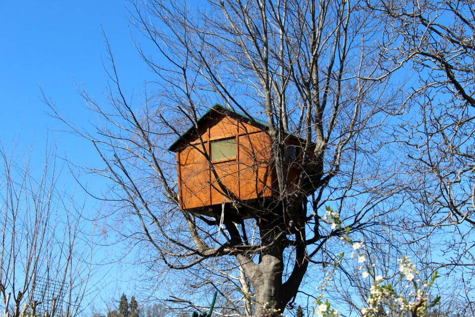 Wood construction buildings