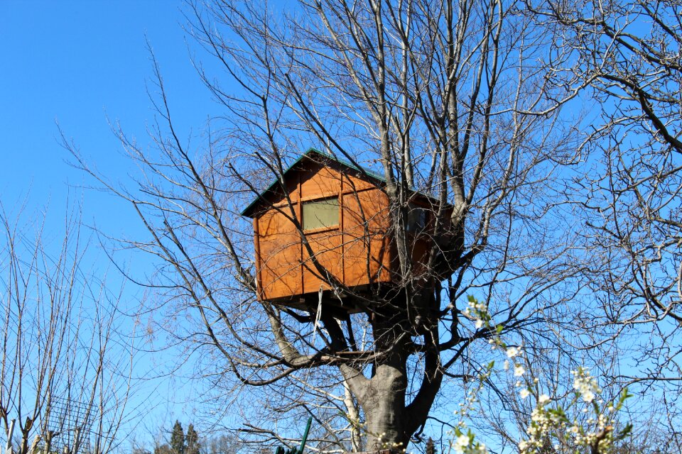 Wood construction buildings photo