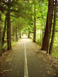Nature path road