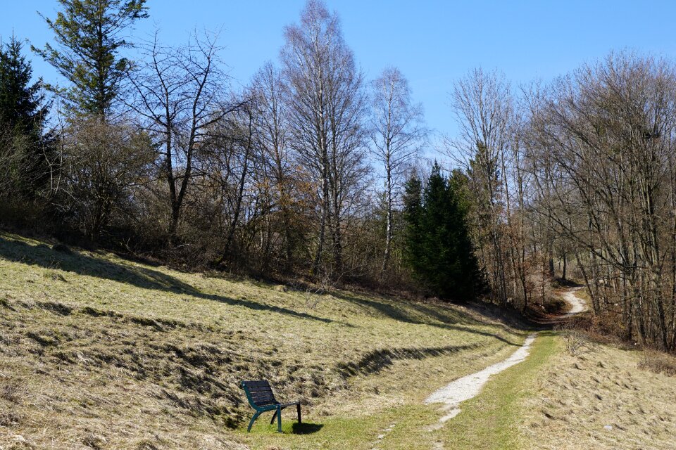 Nature landscape honing mountain