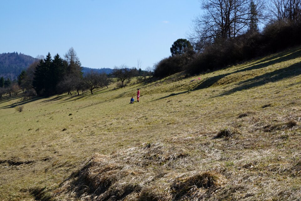 Field nature tuttlingen