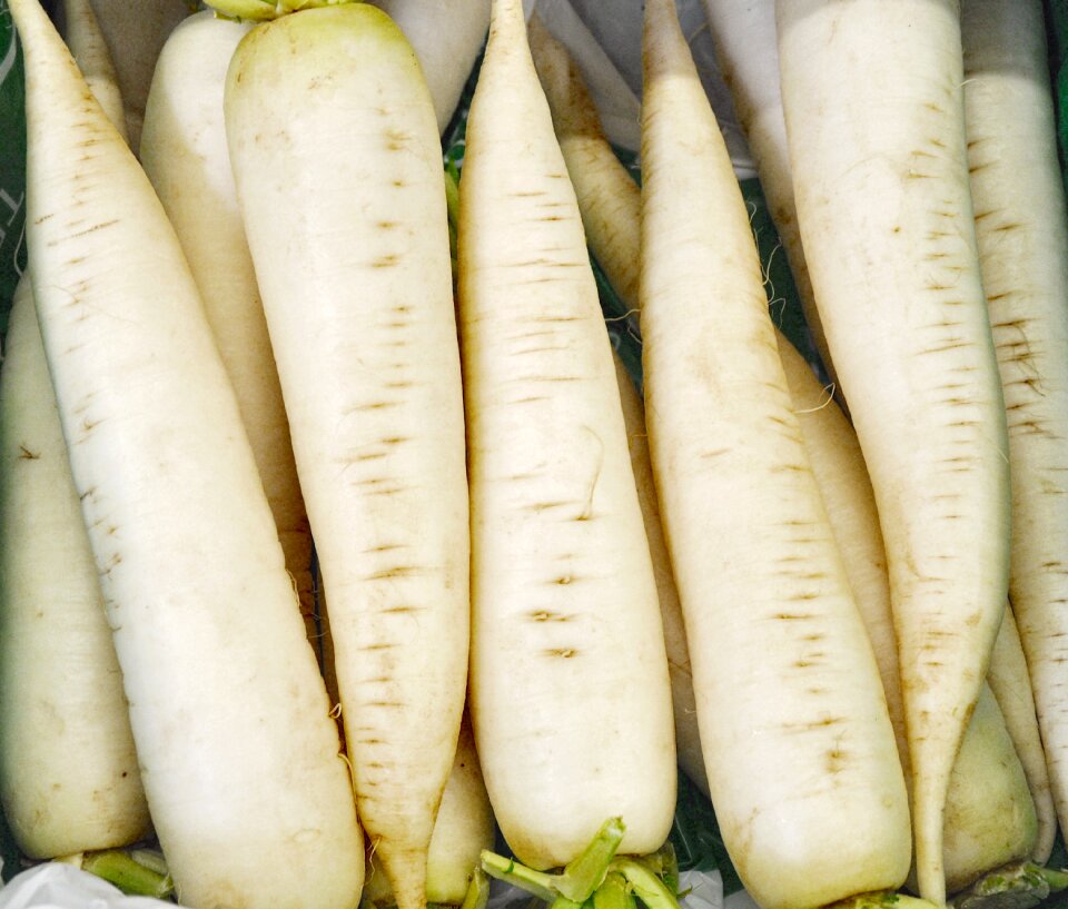 Icicle radishes vegetables white