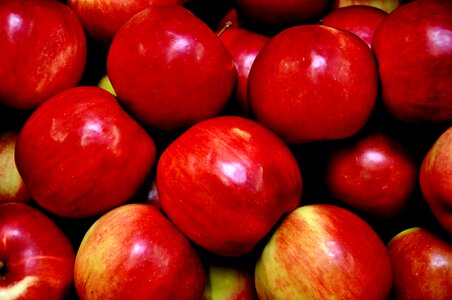 Apple red fruit