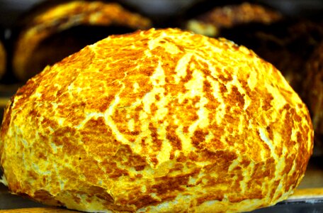 Round pastries food