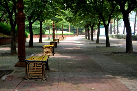 Seoul street bench photo