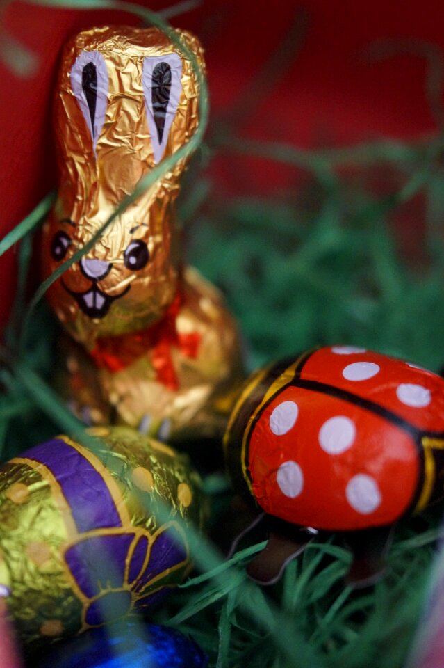 Easter bunny chocolate happy easter